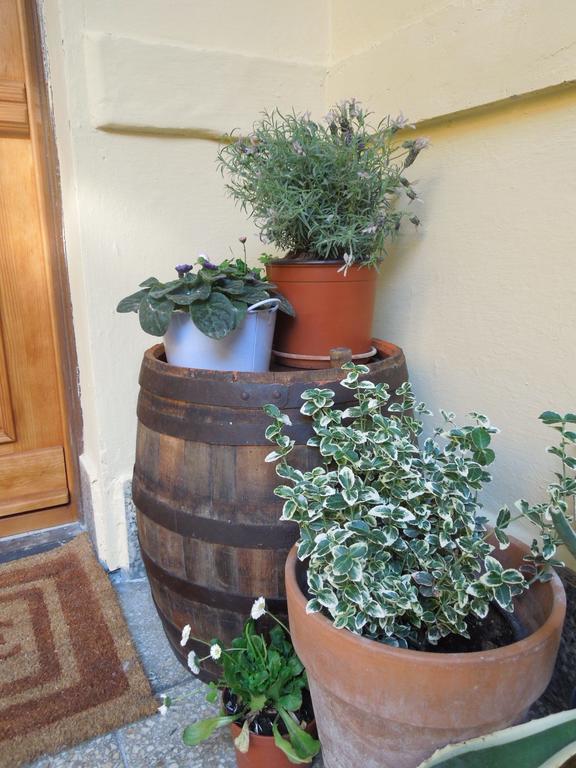 Rustic Elegance Apartment Budapest Ngoại thất bức ảnh